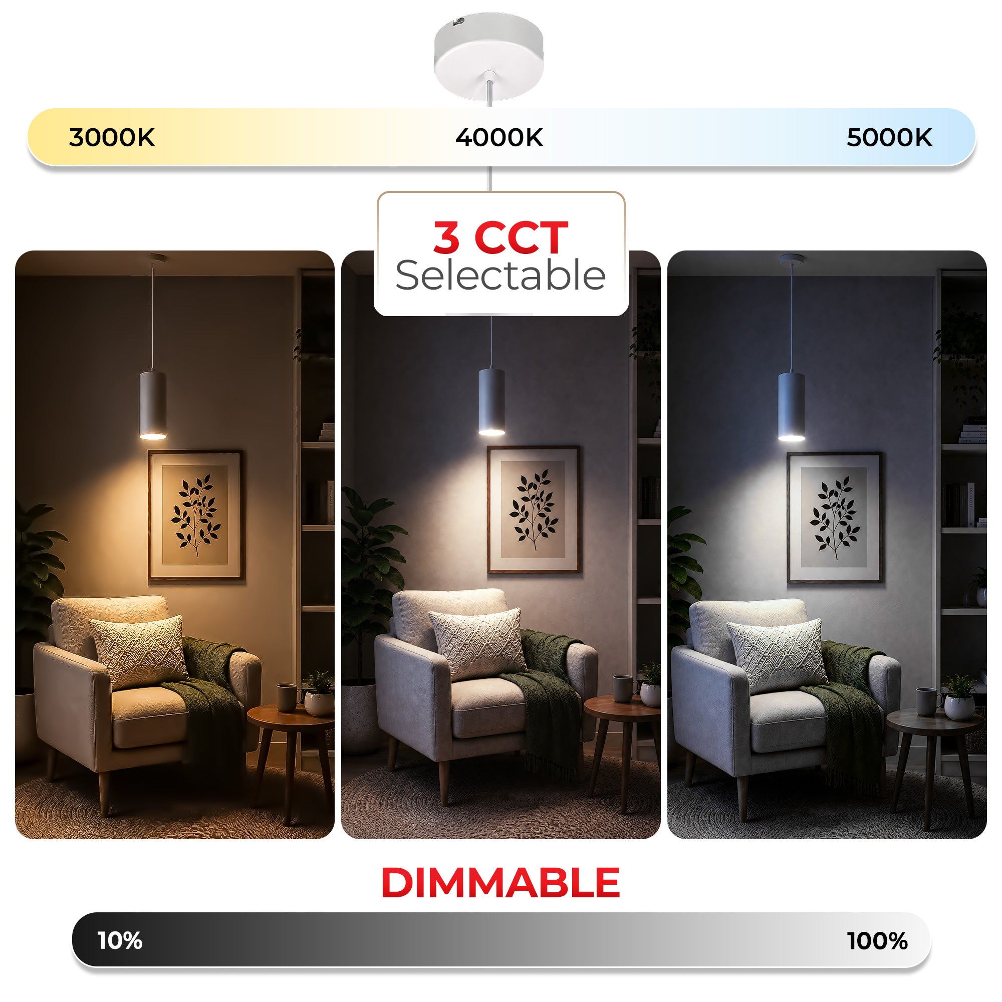 A product infographic for a dimmable, selectable CCT LED light fixture. The top shows a white ceiling mount and globe fixture with a color temperature slider from 3000K to 5000K.