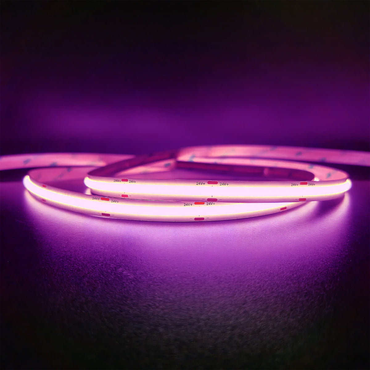 CL-Series Monochrome 24V DotFree COB LED Strip Light IP20 - UL Listed