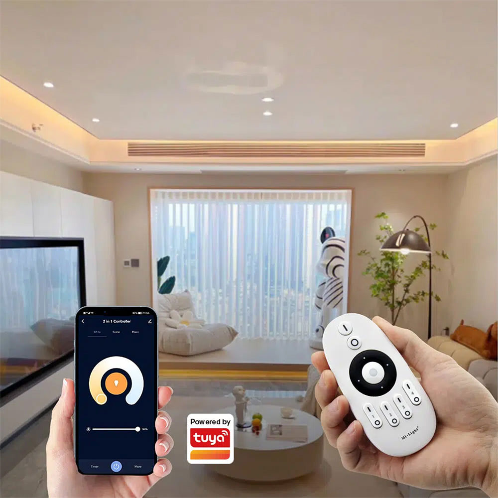 Find the Perfect E2-WR 2 in 1 LED Strip Controller Online